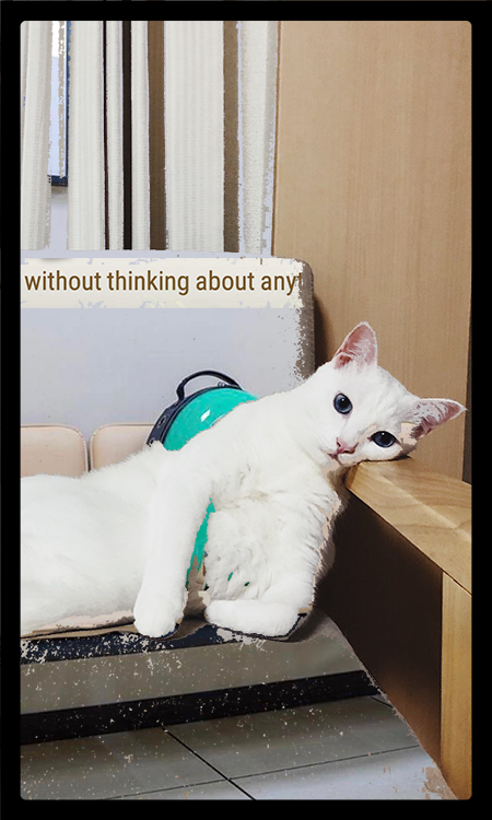 A white cat leans on a couch, with part of a green backpack peeking out behind them. They're looking wistfully toward the camera, as though lost in thought. The cat is too large for the couch, but the arm it's leaning on is proportional.